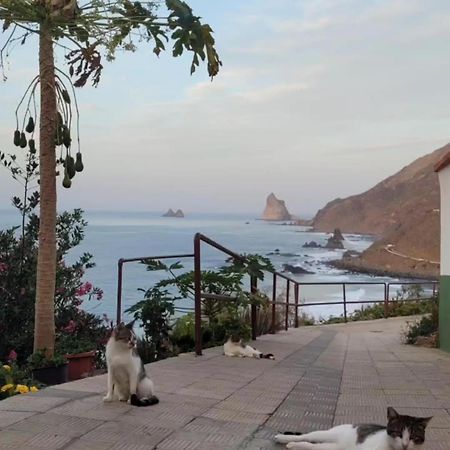 Casa Manolo Paraiso Beach Trail Almaciga المظهر الخارجي الصورة