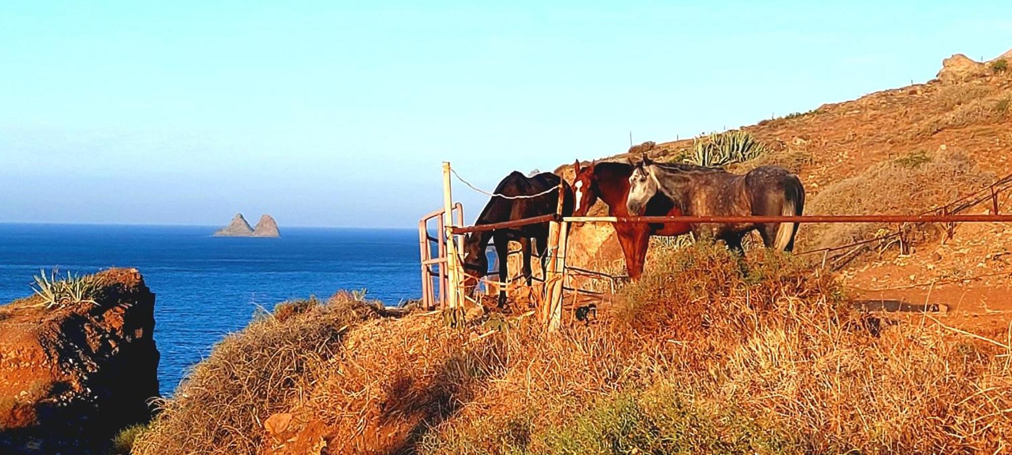 Casa Manolo Paraiso Beach Trail Almaciga المظهر الخارجي الصورة