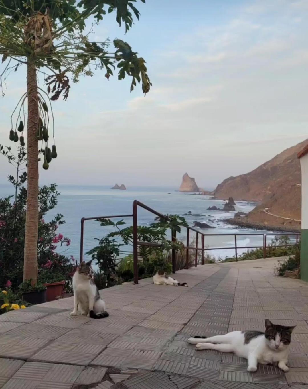 Casa Manolo Paraiso Beach Trail Almaciga المظهر الخارجي الصورة